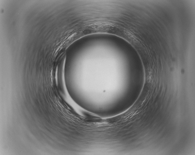 X0000056341108200508261239