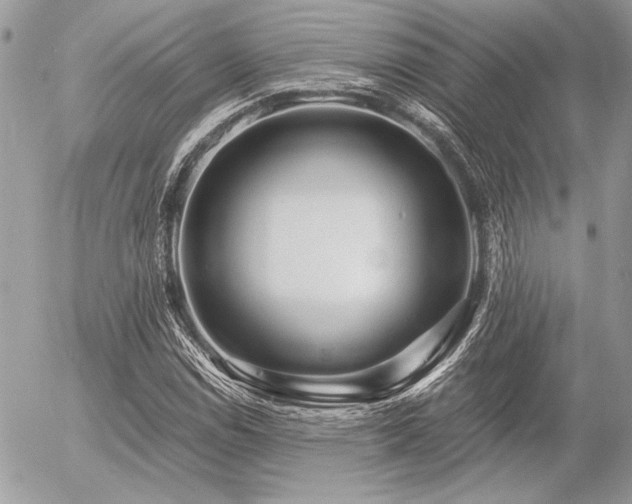X0000056341114200508261239
