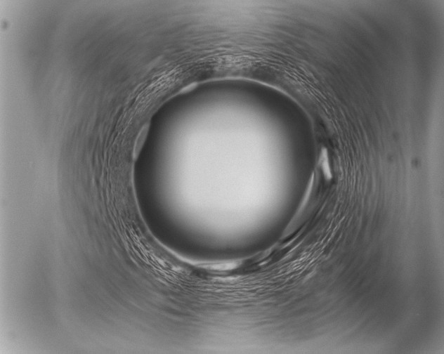X0000056341153200508261239