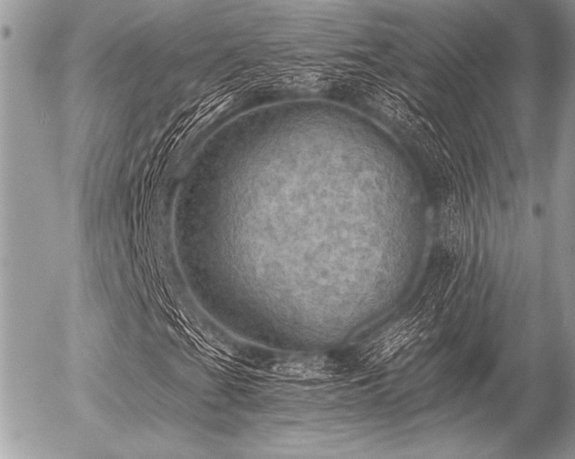 X0000056341201200508261237