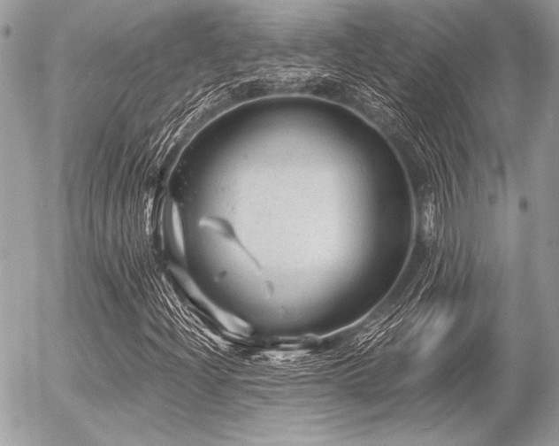 X0000056341204200508261237