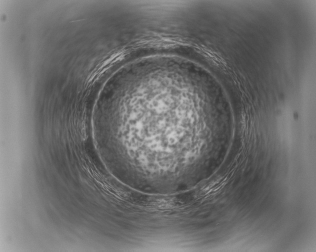 X0000056341205200508261237