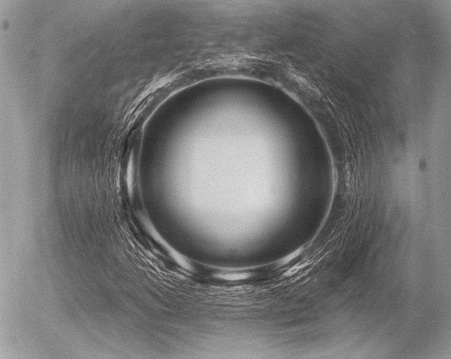 X0000056341206200508261237