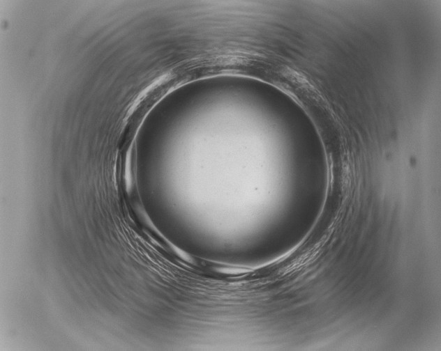 X0000056341210200508261237