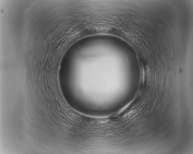X0000056341249200508261237