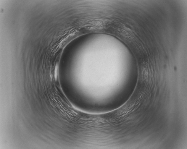 X0000056341250200508261237