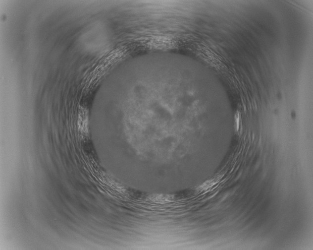 X0000056341251200508261237