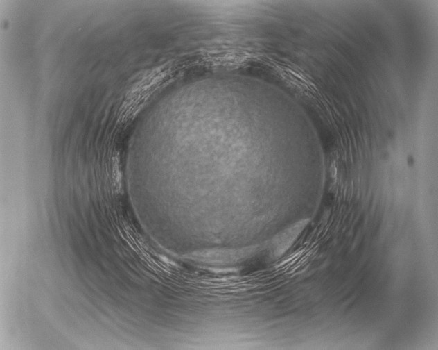 X0000056341252200508261237