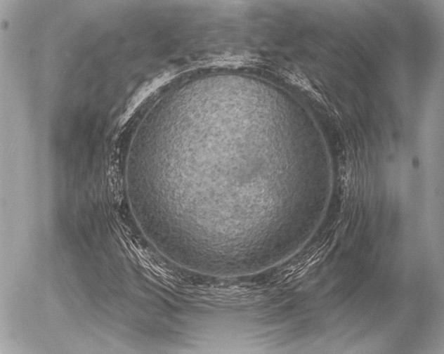 X0000056341256200508261237