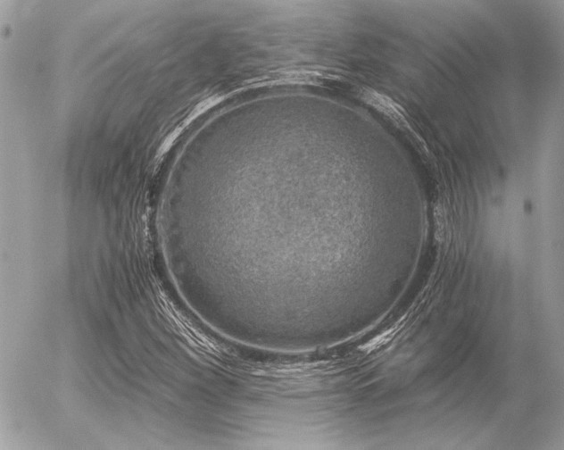 X0000056341260200508261237