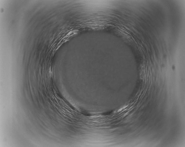 X0000056341298200508261236