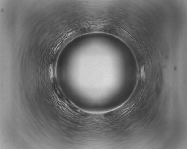 X0000056341299200508261236