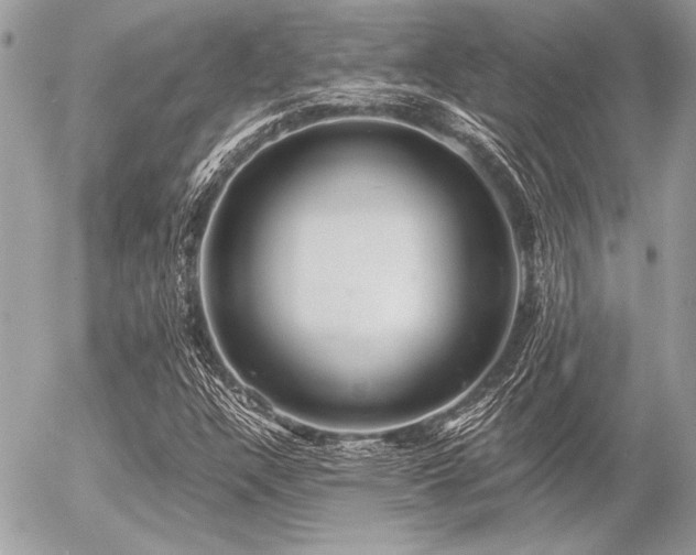 X0000056341304200508261236