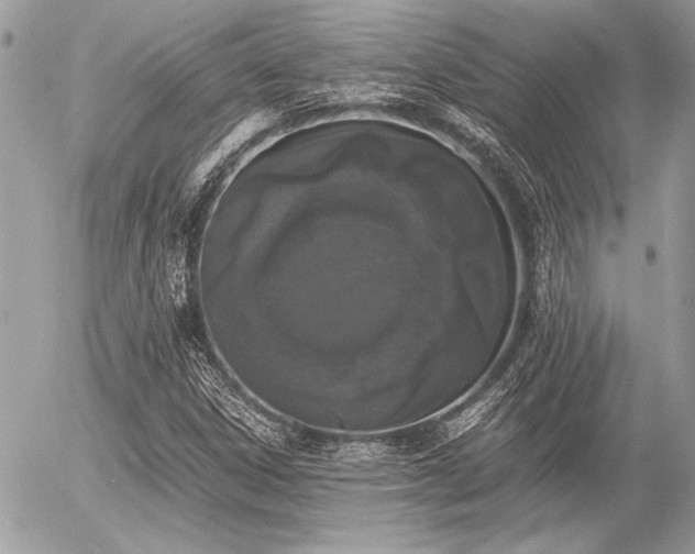 X0000056341306200508261236