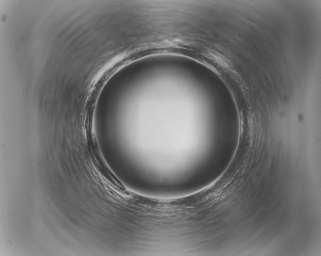 X0000056341308200508261236