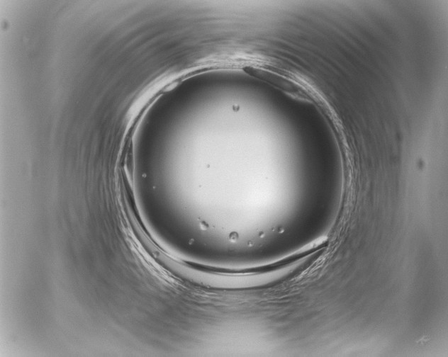 X0000056341344200508261236