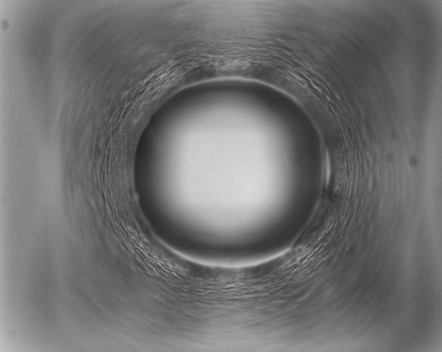 X0000056341345200508261235