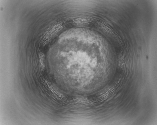 X0000056341346200508261235