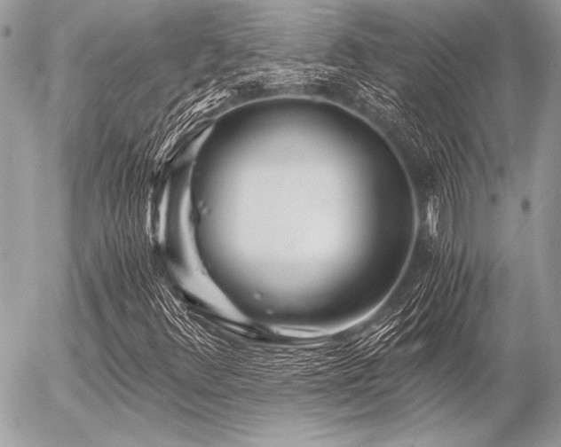 X0000056341348200508261235