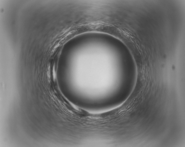 X0000056341349200508261235