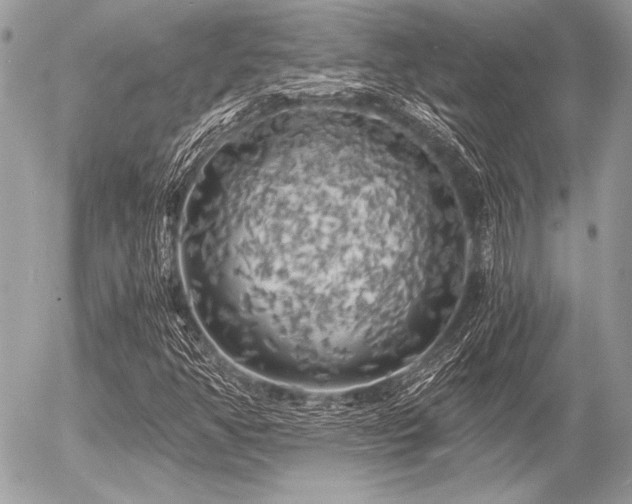 X0000056341350200508261235