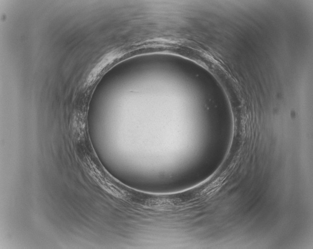 X0000056341355200508261235