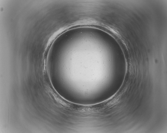 X0000056341366200508261235