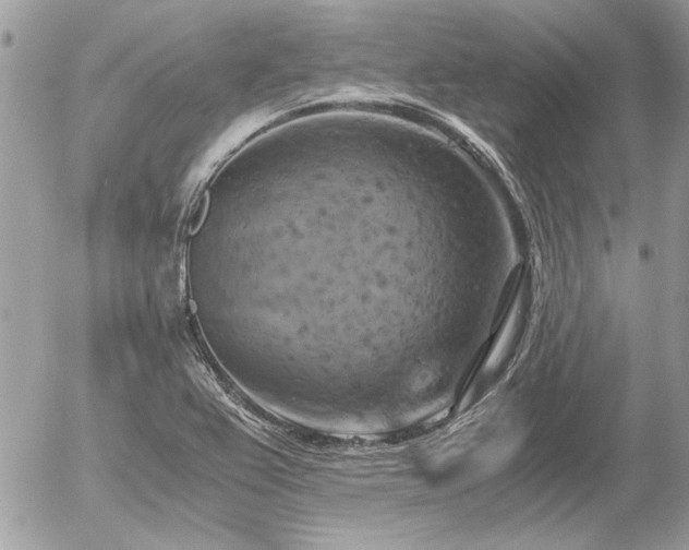 X0000056341367200508261235