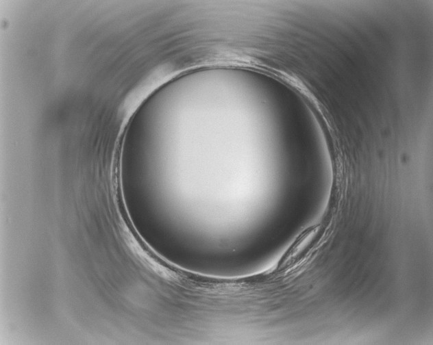 X0000056341387200508261235