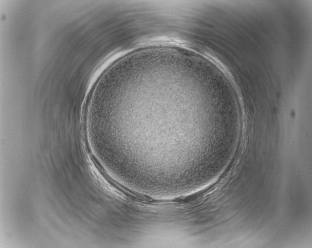X0000056341392200508261235