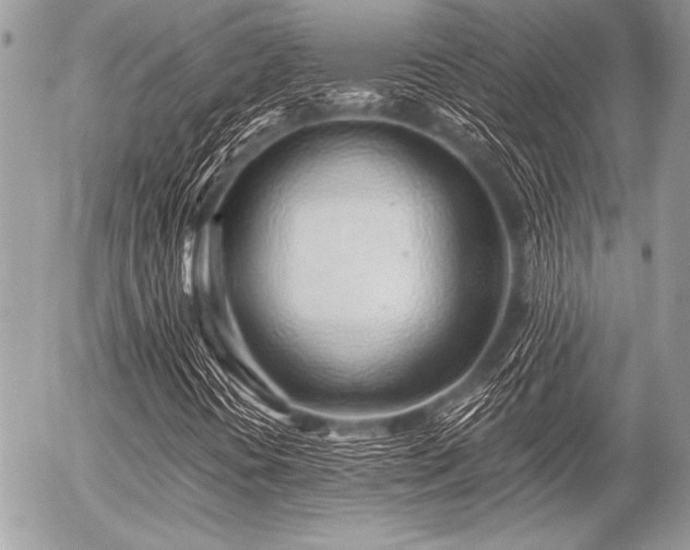 X0000056341394200508261234