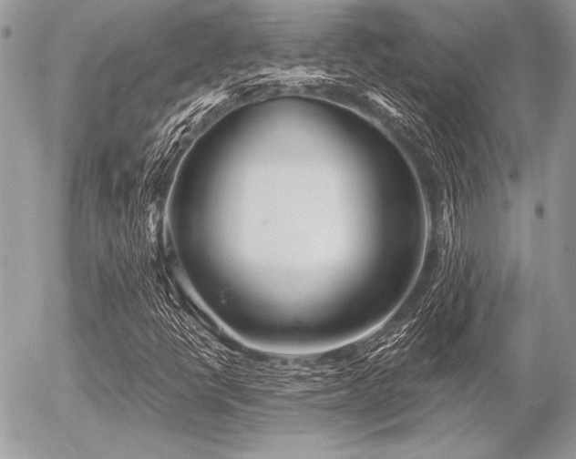 X0000056341398200508261234