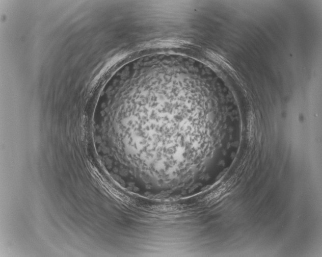 X0000056341404200508261234