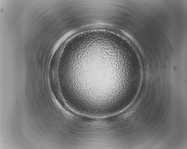 X0000056341418200508261234
