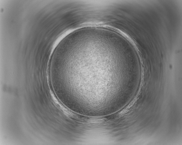 X0000056341440200508261235