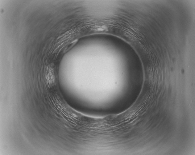X0000056341442200508261234