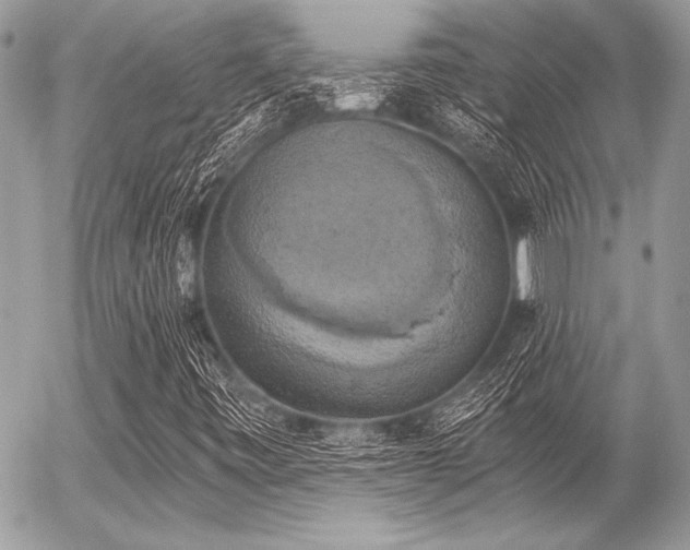 X0000056341443200508261234