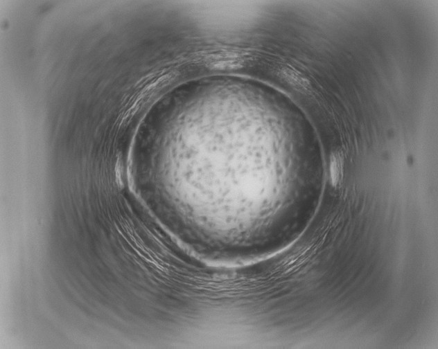 X0000056341444200508261234
