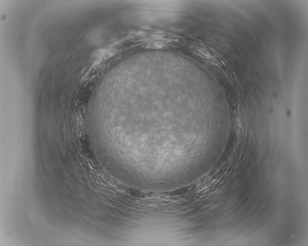X0000056341446200508261234