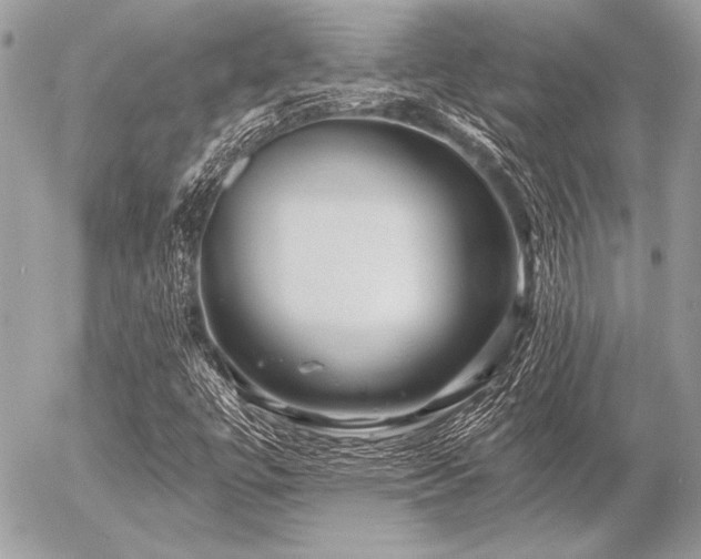 X0000056341447200508261234