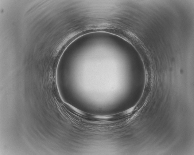 X0000056341457200508261234