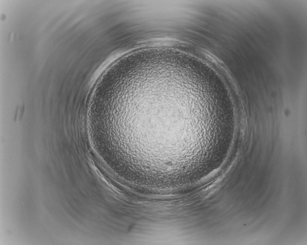 X0000056341473200508261233