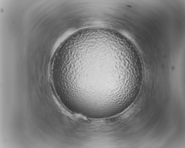 X0000056341477200508261233