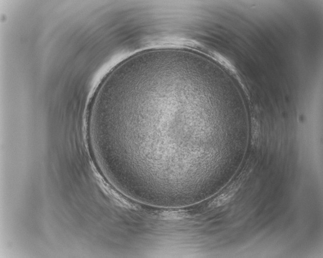 X0000056341480200508261233