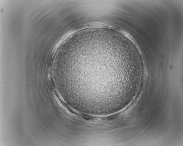 X0000056341481200508261233