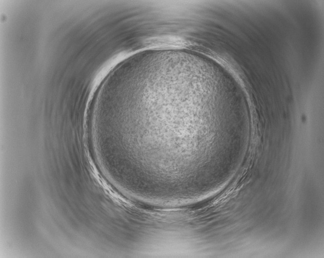 X0000056341488200508261233
