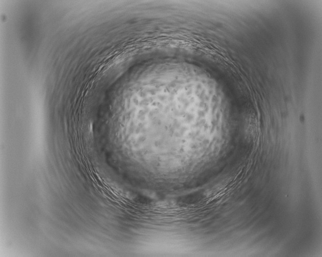 X0000056341489200508261232
