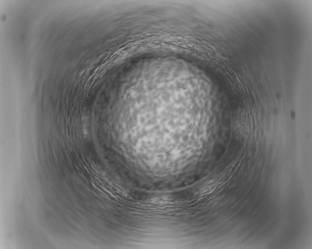 X0000056341490200508261232