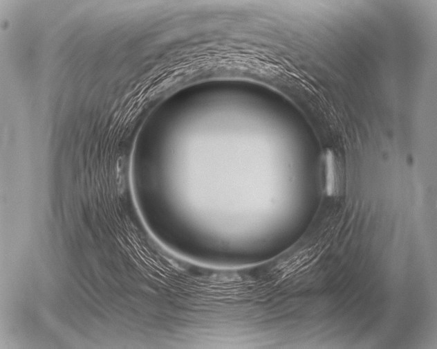 X0000056341491200508261232