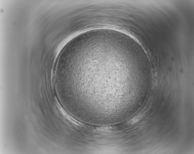 X0000056341535200508261233